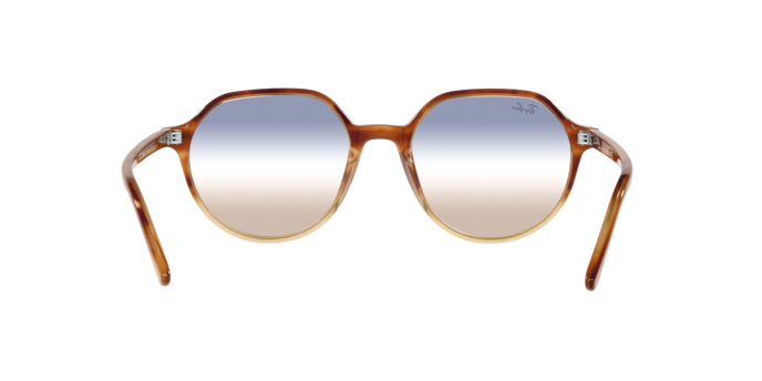 Ray-Ban RB2195 1328GD Thalia 
